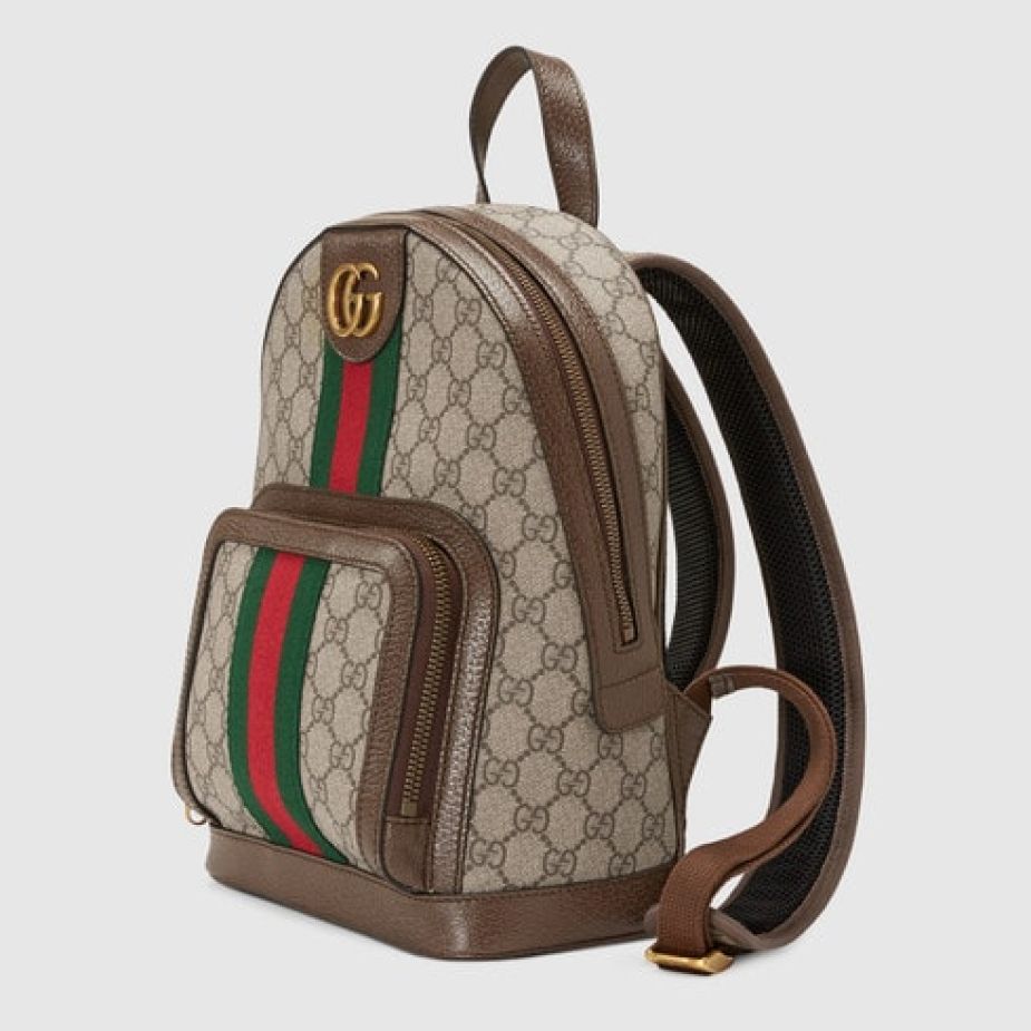 WhatsApp-Image-2021-09-22-at-01.19.32-deb6e76e Gucci Ophidia Small Backpack