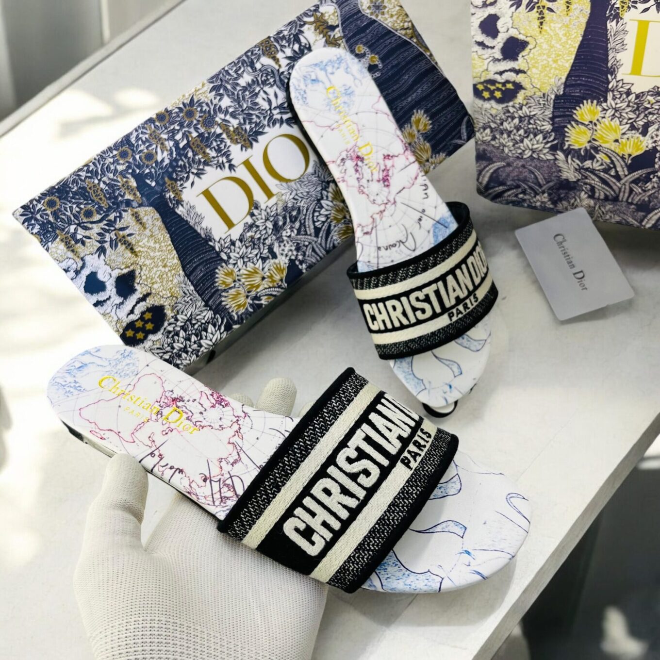 IMG_0966 Christian Dior Earth Dway Slide