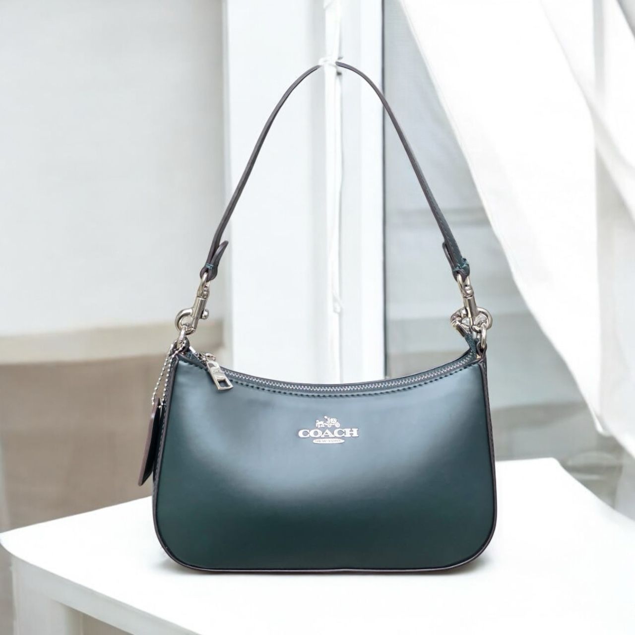 WhatsApp Image 2025-03-21 at 7.34.33 PM Coach Teri Leatherate Green Sling Bag (With Box)