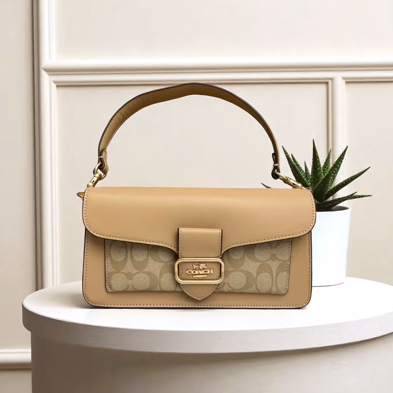 WhatsApp Image 2025-10-22 at 8.19.50 PM Coach Morgan Khaki Color Shoulder Bag (With Box)