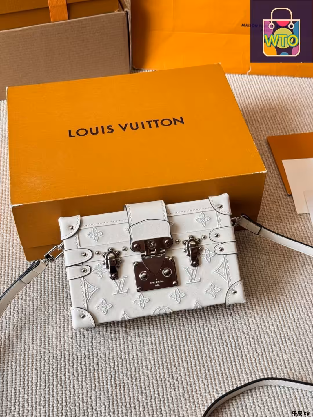 Louis Vuitton Petite Malle White Premium Handbag (With Box)