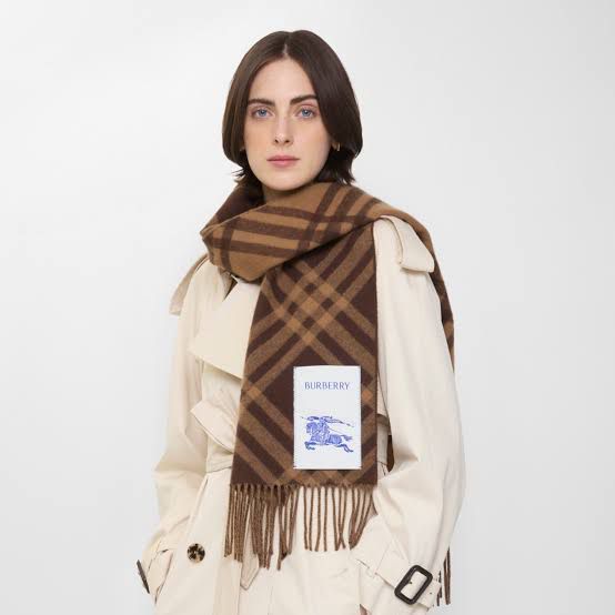Burberry Symmetric Brown Unisex Muffler