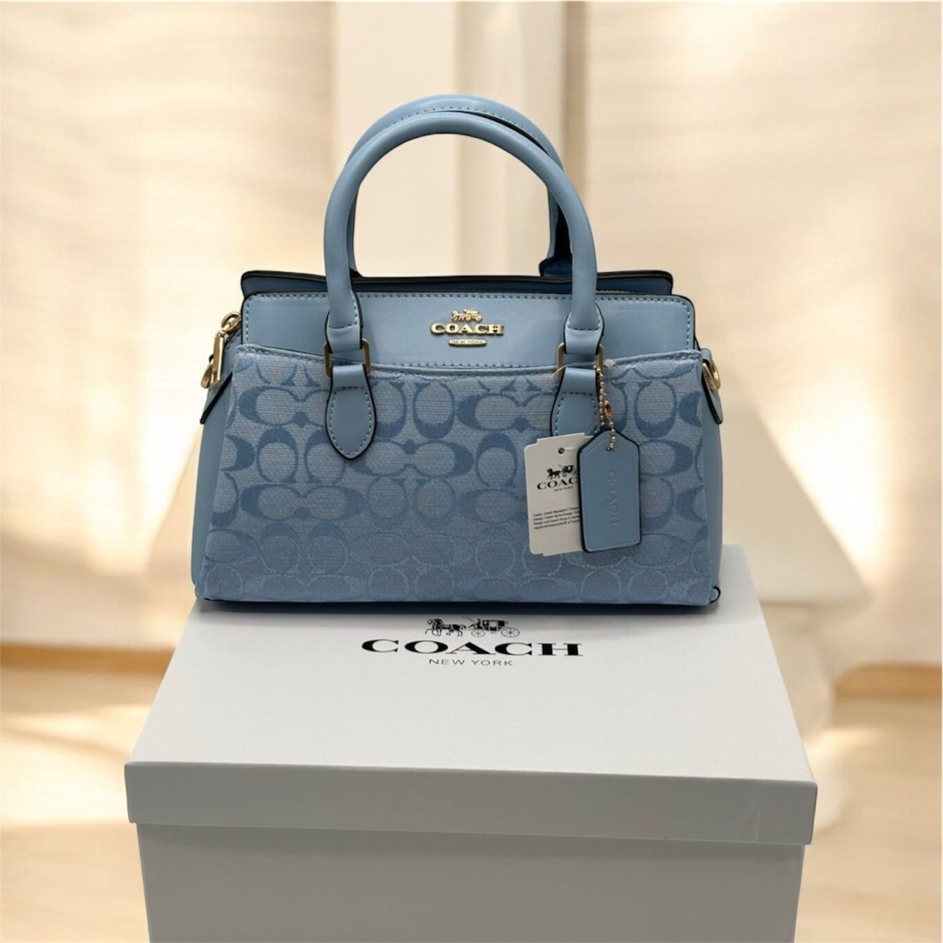 WhatsApp Image 2026-01-30 at 11.36.29 PM Coach Darcie Carryall Blue Medium Handbag (With Box)