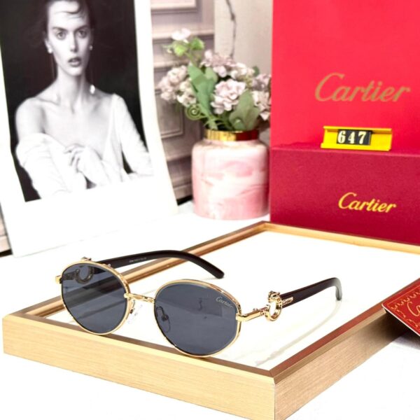 Cartier Oval Black Sunglass For Women
