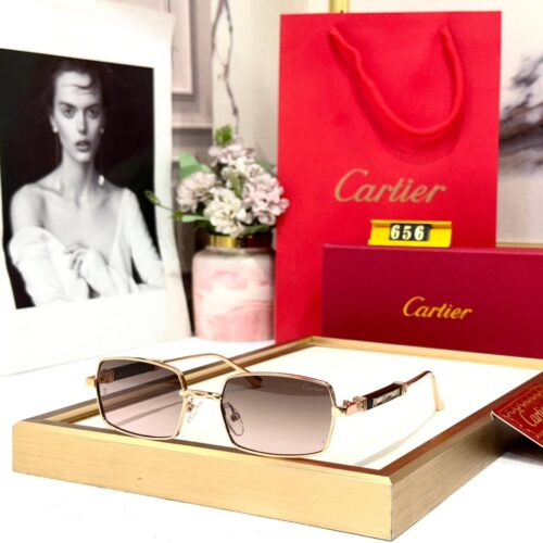 Cartier Rectangular Tinted Sunglass For Men